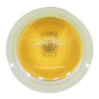H00JQ GOLD BOWL (20g)