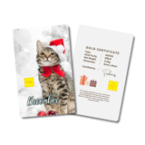 December Cat | Monthly | Christmas - Snow 0.25g